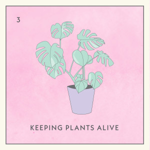 Album Keeping Plants Alive from Malory