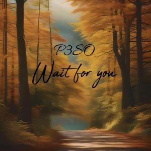 P3SO的專輯Wait for you