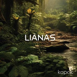 ดาวน์โหลดและฟังเพลง Kapok (Sound Bath) พร้อมเนื้อเพลงจาก LIANAS