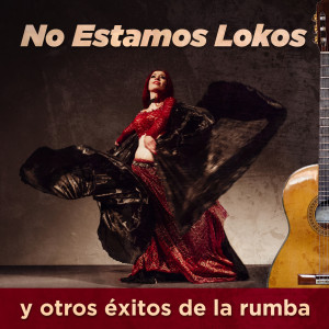 收聽Las Lokas Del Sur的Cómo Quieres Que Te Quiera歌詞歌曲