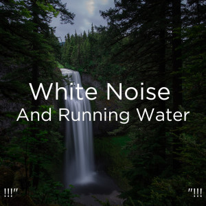 收听White Noise的白噪声歌词歌曲
