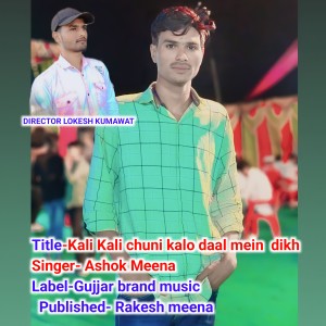 收聽Ashok Meena的Kali Kali Chuni Kalo Daal Mein  Dikh歌詞歌曲