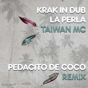 Taiwan Mc的專輯Pedacito De Coco (Remix)