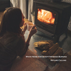 Listen to White Noise For Sleep Firewood Burning song with lyrics from 네이쳐콜링
