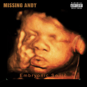 ดาวน์โหลดและฟังเพลง So Long Drying (feat. n.Cook) (Explicit) พร้อมเนื้อเพลงจาก Missing Andy