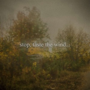 Listen to stop, taste the wind... song with lyrics from OX1DE