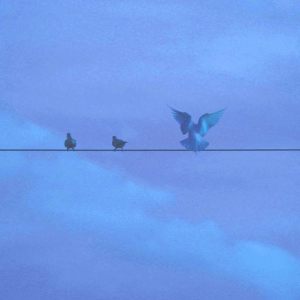 ดาวน์โหลดและฟังเพลง Bluebird Fly พร้อมเนื้อเพลงจาก Marcus D