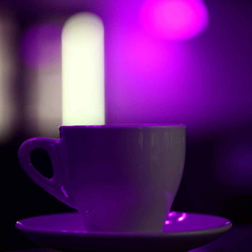 Soulful Ambiance for The Breezy Times