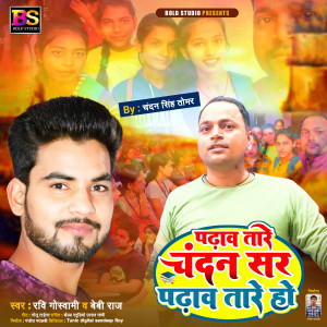 ดาวน์โหลดและฟังเพลง Padhaav Taare Chandansir Padhaav Taare Ho (Bhojpuri) พร้อมเนื้อเพลงจาก Ravi Goswami