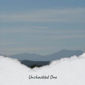 Listen to Convinced Several song with lyrics from Merey Bler