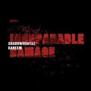 Shadow Huntaz的專輯Irreparable Damage (Explicit)