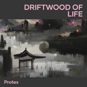 收聽Protex的Driftwood of Life歌詞歌曲
