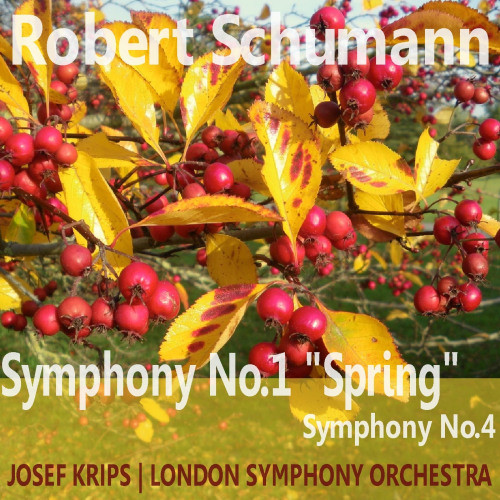 Symphony No. 1 in B-Flat Major, Op. 38, "Spring": II. Larghetto