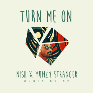 Listen to Turn Me on (feat. Mumzy Stranger) song with lyrics from Mumzy Stranger