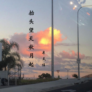 Listen to 抬头望天秋月起 song with lyrics from 牟天任