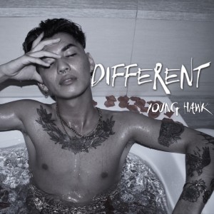 Listen to different song with lyrics from Young Hawk