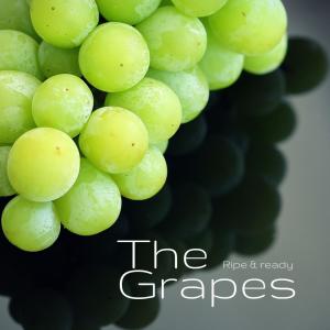 ดาวน์โหลดและฟังเพลง Hoedown พร้อมเนื้อเพลงจาก The Grapes