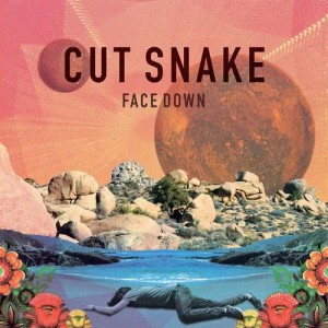 ดาวน์โหลดและฟังเพลง Face Down พร้อมเนื้อเพลงจาก Cut Snake