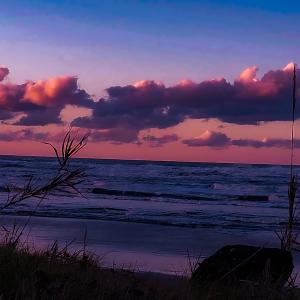 Listen to Ocean song with lyrics from Neon