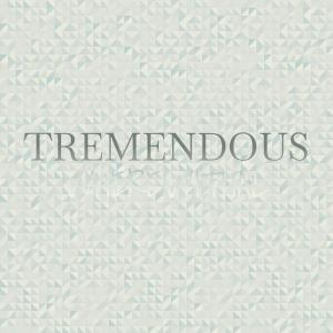 Various Artists的專輯Tremendous Wherewithal