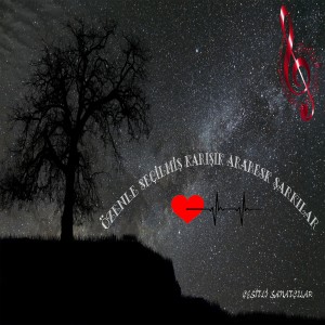 收聽Seçil Kılıç的Sende Geri Gelme歌詞歌曲