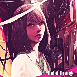 Album Habit Orange from DJ Rodriguez