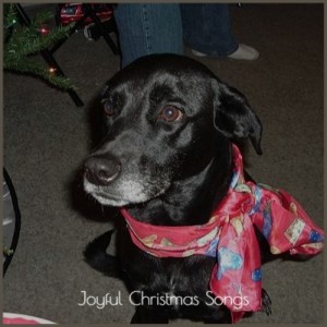 Album Joyful Christmas Songs from Various