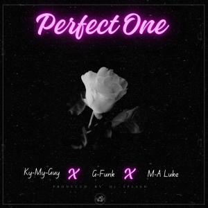 อัลบัม Perfect One (feat. M.A. Luke, Ky My Guy & Dj Splash) ศิลปิน GFVNKCNG