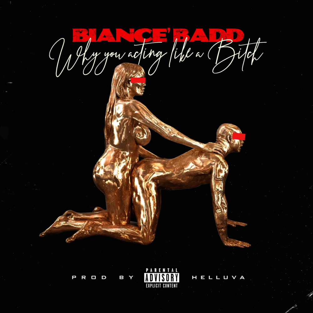 Why You Actin Like a Bitch (Explicit)