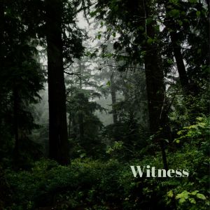 Album Witness from Ryan Mobley