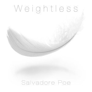 ดาวน์โหลดและฟังเพลง Just Like the Sky พร้อมเนื้อเพลงจาก Salvadore Poe