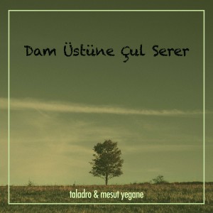 Album Dam Üstüne Çul Serer from Taladro