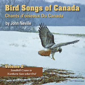 ดาวน์โหลดและฟังเพลง Sanderling พร้อมเนื้อเพลงจาก John Neville