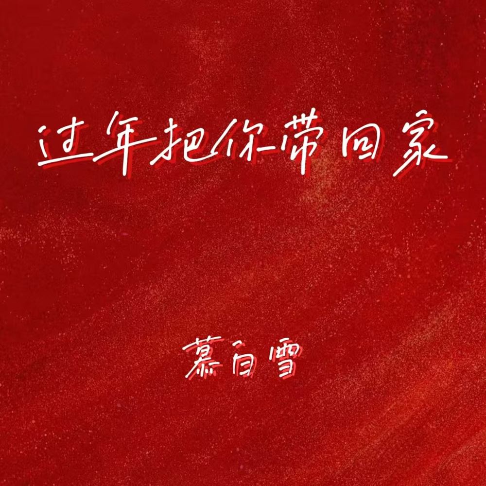 过年把你带回家 (我的思念飞过八千里)