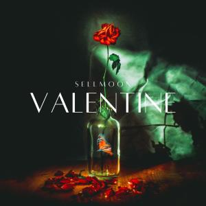 Sellmoon的專輯Valentine (Explicit)