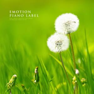 Listen to Spring Advisory song with lyrics from 레이아