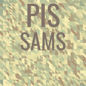 Various Artists的專輯Pis Sams