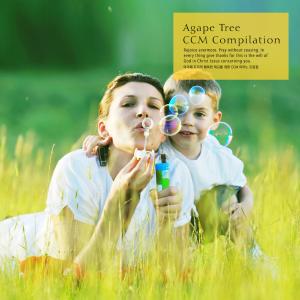 อัลบัม CCM piano collection for the happy preach of Agape tree ศิลปิน Various Artists