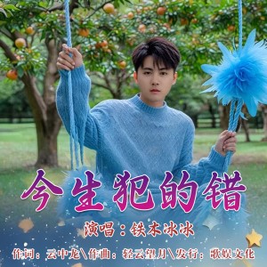 Album 今生犯的错（舞曲版） from 铁木冰冰