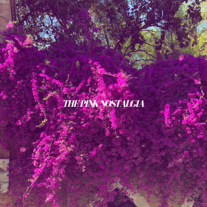 Album The Pink Nostalgia - EP (Explicit) oleh The Pink Nostalgia
