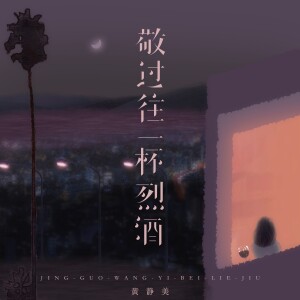 Album 敬过往一杯烈酒 from 黄静美