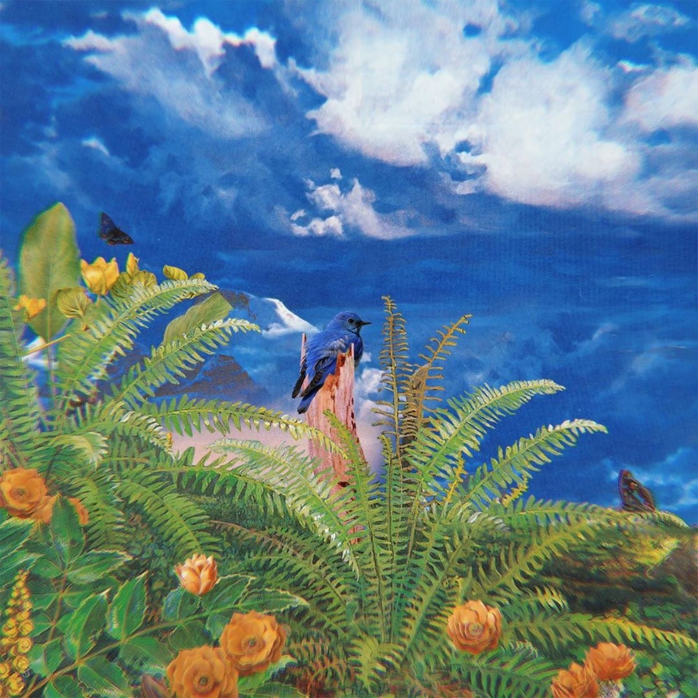 BLUEBIRD (Explicit)