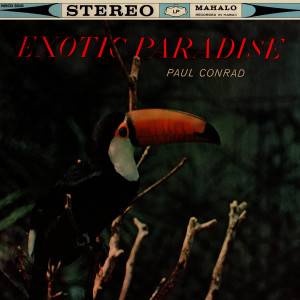 ดาวน์โหลดและฟังเพลง Sa libis ng nayon พร้อมเนื้อเพลงจาก Paul Conrad