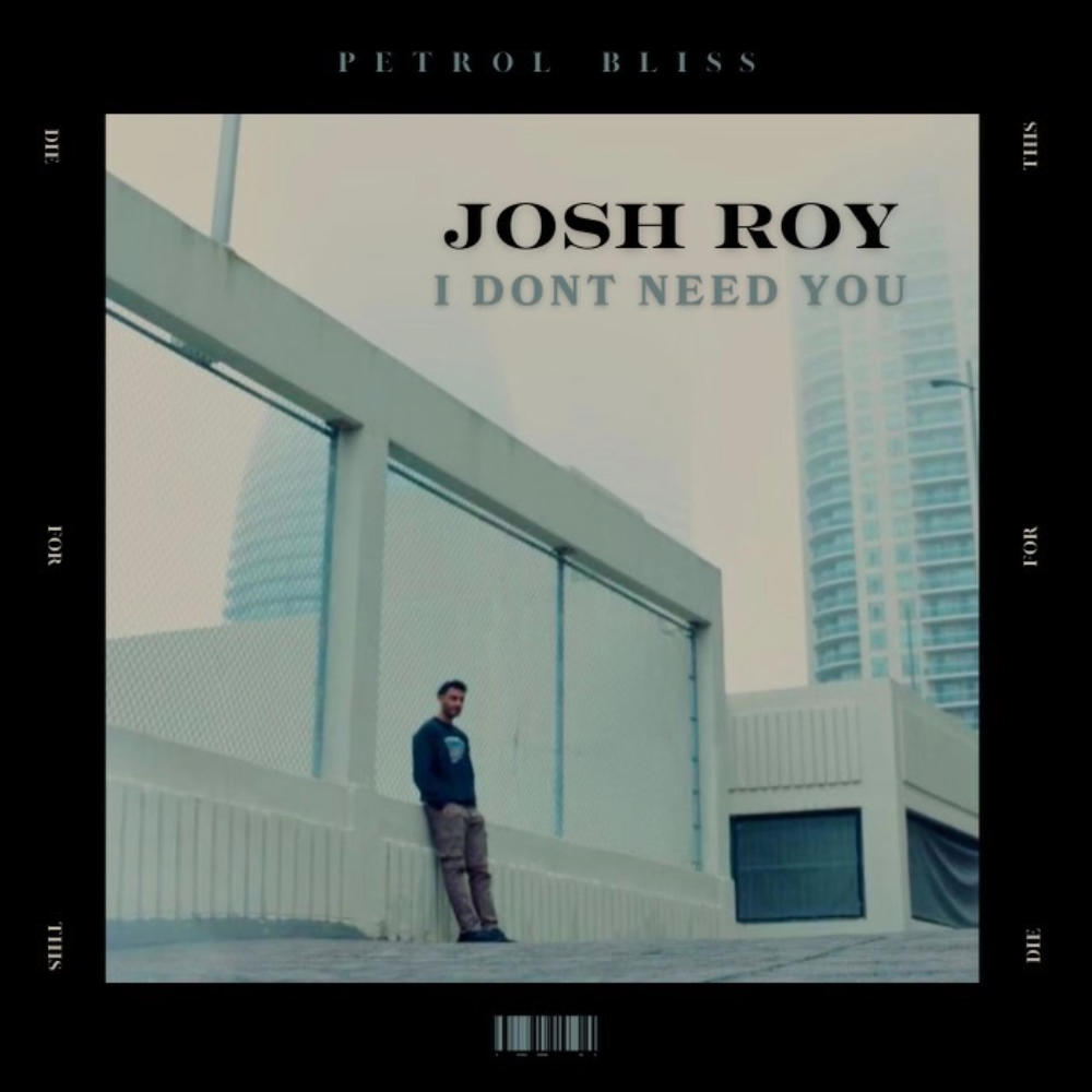 I Don't Need You (Explicit)