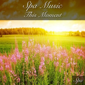收聽SPA的Imagine歌詞歌曲