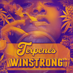Winstrong的專輯Terpenes