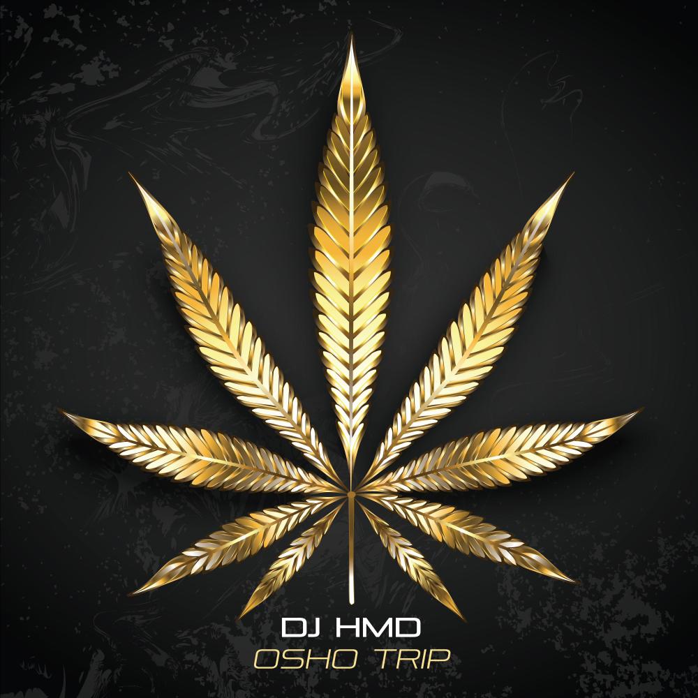 OSHO TRIP (feat. Osho Rajneesh) (Explicit)