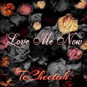 收聽TeCheetah的Love Me Now歌詞歌曲