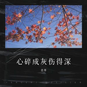 Listen to 心碎成灰伤得深 (完整版) song with lyrics from 思寒