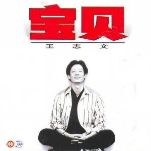 Album 宝贝 from 王志文